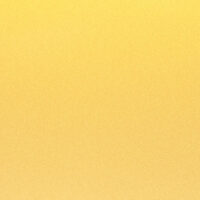 CLOSEUP-STB-4D8-1-rotated