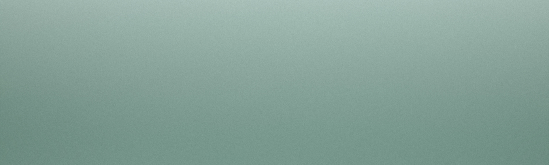 TOP-BANNER-STB-410-2