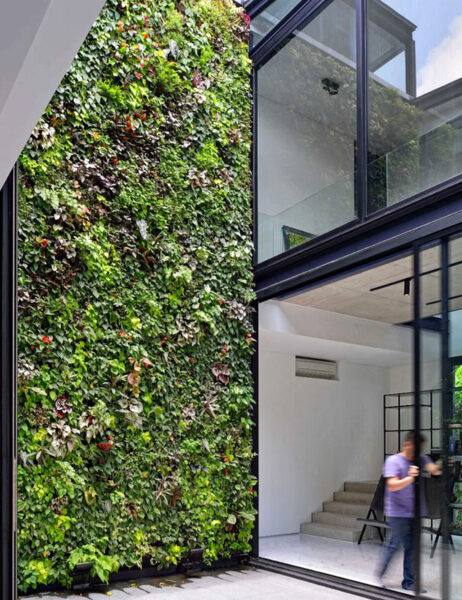 sustainable houses, vertical garden