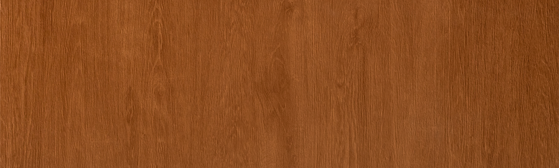 TOP-BANNER-STB-W48W14