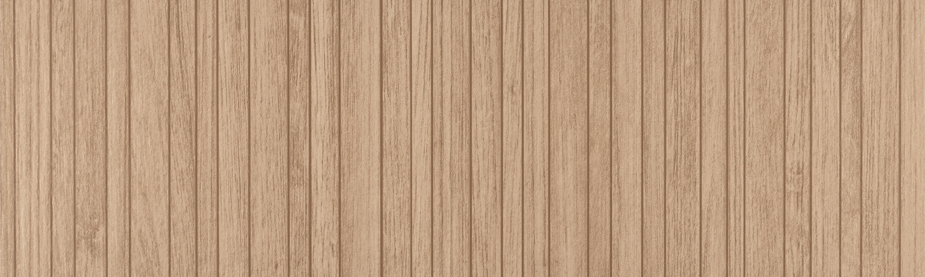 TOP-BANNER-STB-W61-1