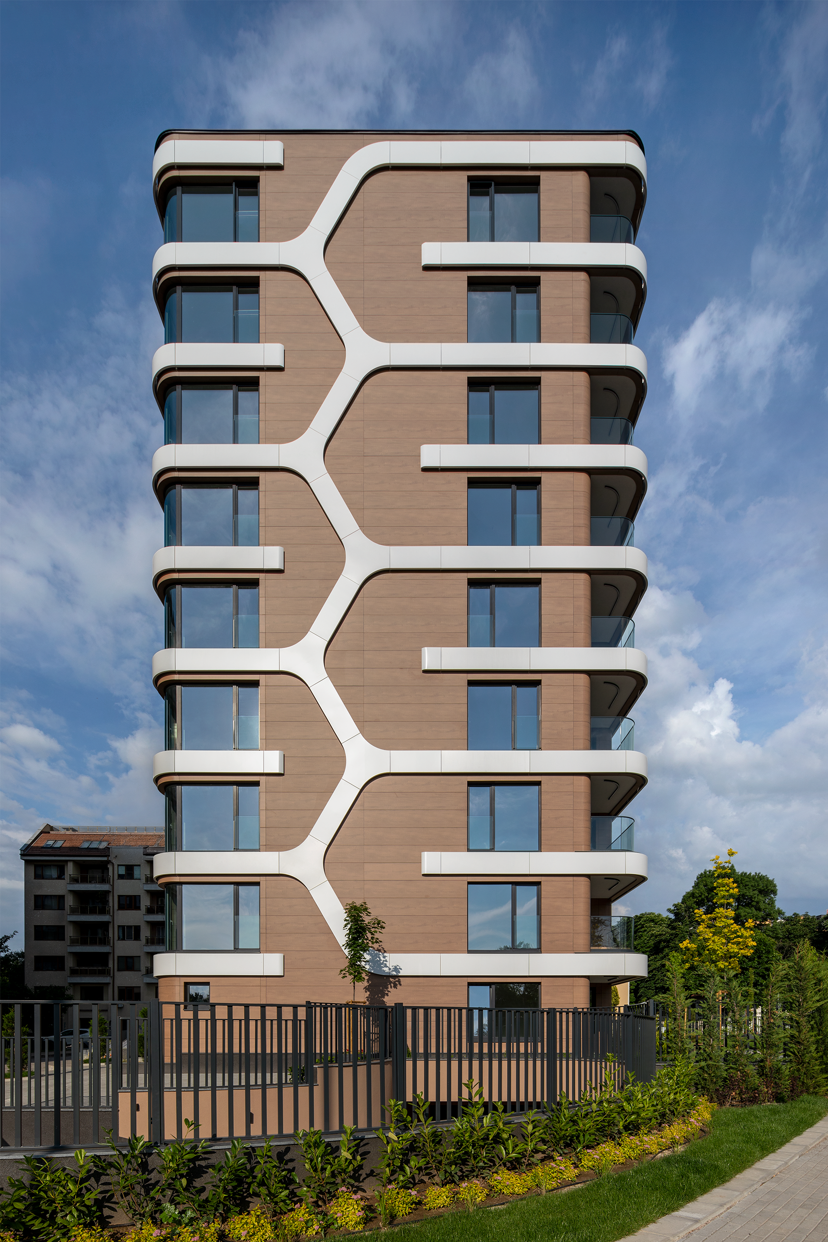 Propolis_3
