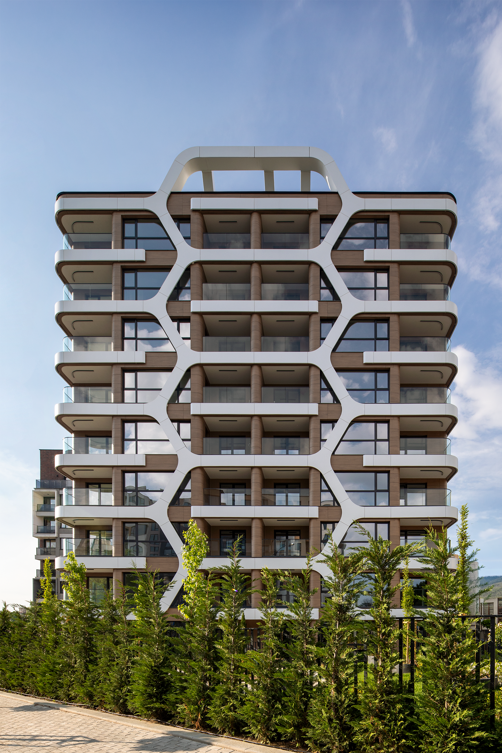 Propolis_4